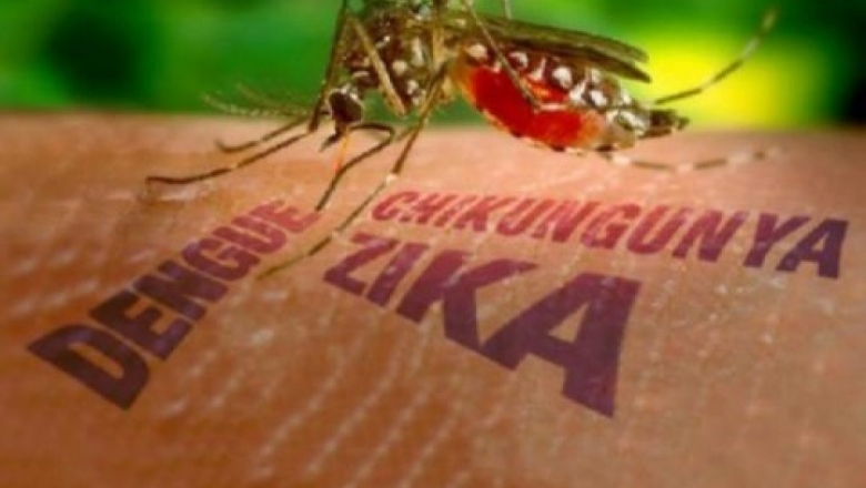 Secretaria Estadual de Saúde alerta municípios sobre risco de epidemia de dengue, zika e chikungunya