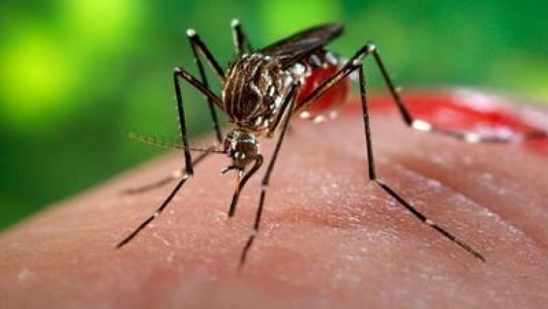 Agevisa orienta para que pessoas que não tiveram dengue evitar tomar vacina Dengvaxia