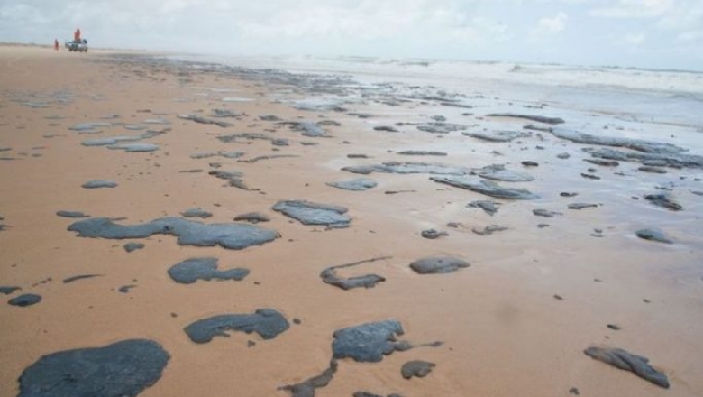 Manchas de óleo voltam a aparecer em praias do Nordeste