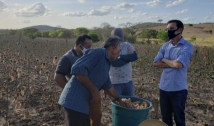 Técnicos do RN conhecem sistema de produção de algodão orgânico da Paraíba