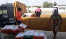 Prefeitura de Bom Jesus inicia na próxima segunda, entrega de sementes certificadas com agricultores 