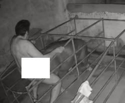 Em Cachoeira dos Índios, câmeras flagram homem praticando atos de zoofilia contra porca; veja 