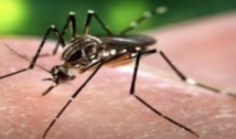 Paraíba divulga boletim epidemiológico dos casos de dengue, zika e chikungunya