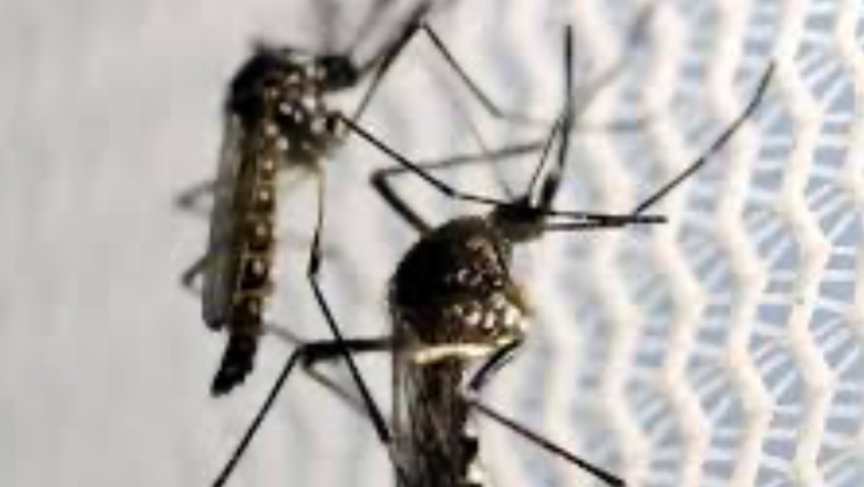 Saúde estadual realiza reunião com prefeitos para alinhar estratégias e apresenta ações de combate à dengue