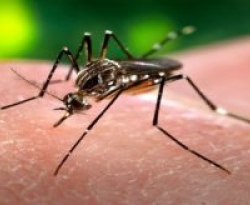 Bebê morre vítima de Chikungunya na PB; Saúde confirma 2ª morte do estado