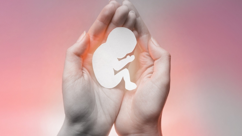 Com PL do aborto, instituições temem mais casos de gravidez em meninas