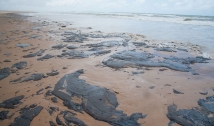 Deputada paraibana pede explicações ao IBAMA sobre derramamento de óleo nas praias do Nordeste