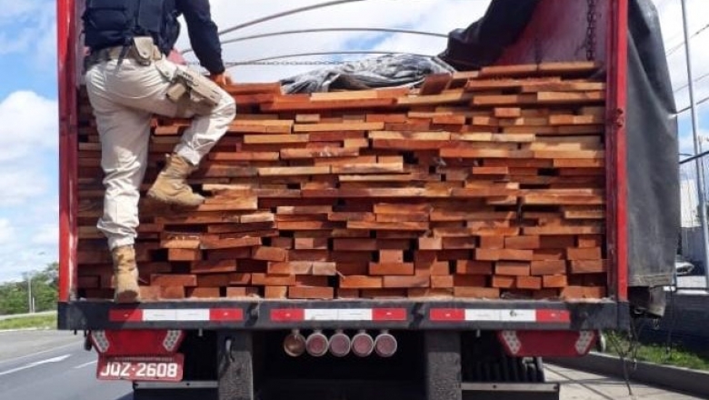 PRF apreende madeira extraída de forma ilegal no Pará sendo transportada para PB