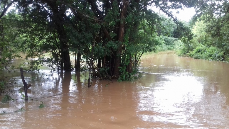 Sertão da Paraíba registra chuvas intensas; precipitação no distrito de Marimbas em Cachoeira dos Índios supera 160 mm 