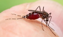 Boletim epidemiológico revela aumento significativo no número de casos da dengue, chikungunya e zika