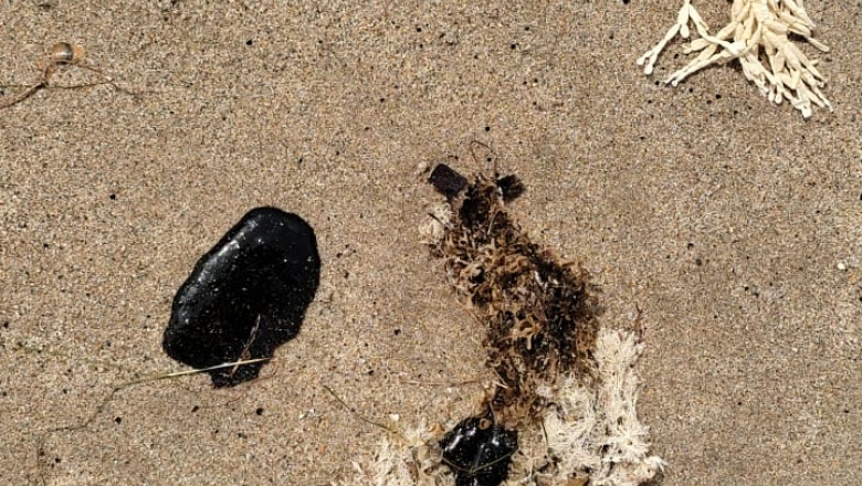 Prefeitura monitora praias de João Pessoa após vestígios de óleo serem encontrados no Bessa