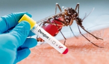 Boletim registra crescimento dos casos de dengue na Paraíba