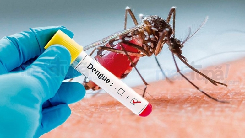 Boletim registra crescimento dos casos de dengue na Paraíba