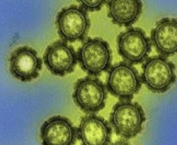 Paraíba é o primeiro estado do Nordeste em cobertura vacinal contra o sarampo e segundo da influenza