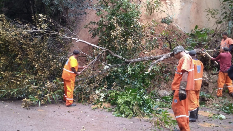 DER alerta motoristas sobre deslizamentos e queda de árvores em rodovias nos dias de chuva