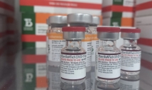 Dia D: Saúde recomenda doses de reforço de vacina contra covid-19 para crianças a partir de 3 anos