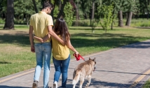 Lei permite animais de suporte emocional em espaços públicos; CRMV-PB faz alerta sobre cuidados com pets