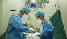 No ano de 2023, já foram realizados na Paraíba 163 transplantes de órgãos e tecidos, sendo 6 de coração 