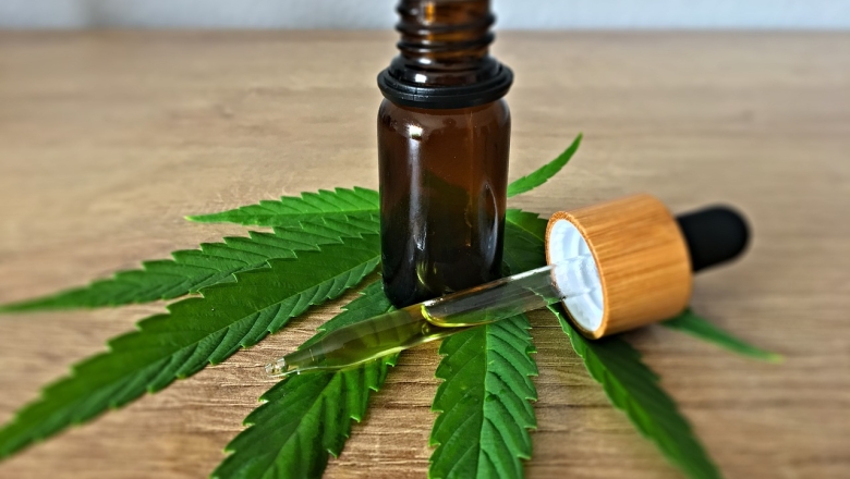 STJ autoriza plantio de Cannabis para fins medicinais sem risco de sanção criminal