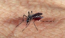 Paraíba confirma segunda morte por dengue; 136 municípios estão em situação de alerta