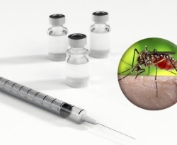 Pais e responsáveis são alertados para a vacinação contra a dengue