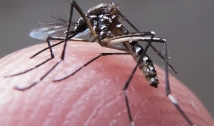 Saúde confirma primeira morte por dengue na Paraíba em 2024; seis pessoas morreram em 2023