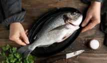 CRMV-PB recomenda consumo de peixes com selos de inspeção sanitária; saiba quais são