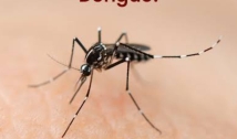 Saúde da PB divulga boletim das arboviroses e reforça ações realizadas para o controle da dengue, chikungunya e zika
