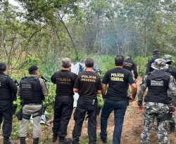 Operação policial combate tráfico de drogas na divisa dos estados da PB e CE; plantio de maconha é encontrado em Cachoeira dos Índios