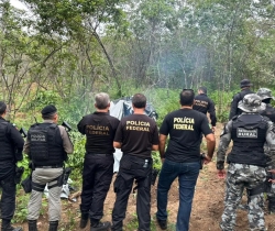 Operação policial combate tráfico de drogas na divisa dos estados da PB e CE; plantio de maconha é encontrado em Cachoeira dos Índios