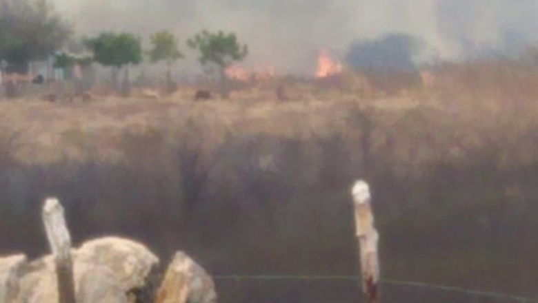 Incêndio em vegetação assusta moradores do setor norte da zona rural de Cajazeiras