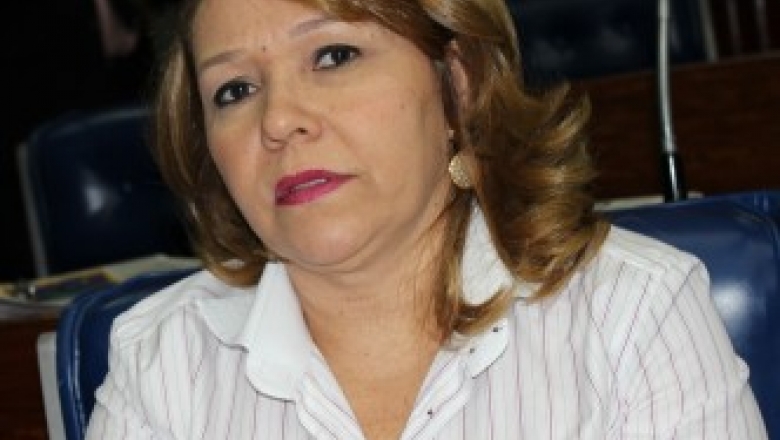 Eva Gouveia não quer comando do PSD, informa fonte